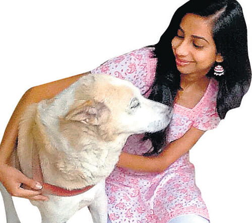 caring Many like Manisha ensures her dog is  comfortable during  Deepavali by staying close to it.