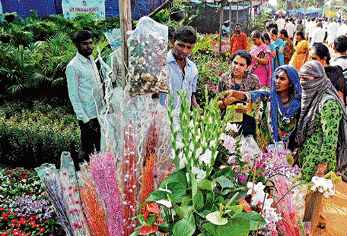 colourful examples: Visitors admire flowers at the International Krishi Mela 2013   in Bangalore on Thursday. dh photo
