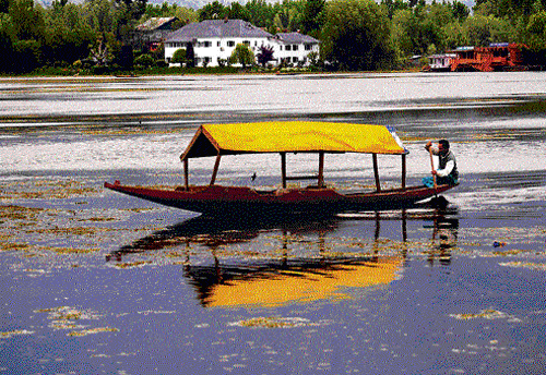 Soothing sight A boatman steers his 'shikara' on Nagin Lake. photo by author