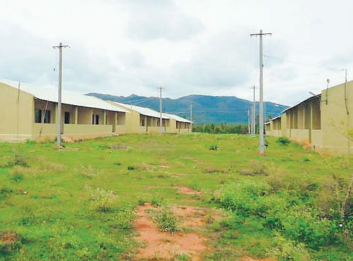 deserted: The houses built for Special Tiger Protection Force have no takers. DH PHOTO