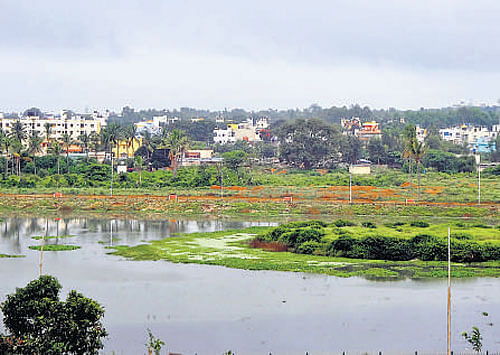 Allalasandra Lake to get a makeover