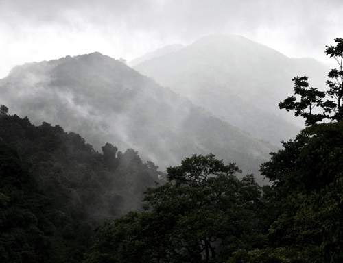 Two reports that have recommended protecting the Western Ghats have become the victims of vested interests trying to further their cause. To avoid an ecological catastrophe, a holistic approach is required, with the support of residents and the government. DH Photo