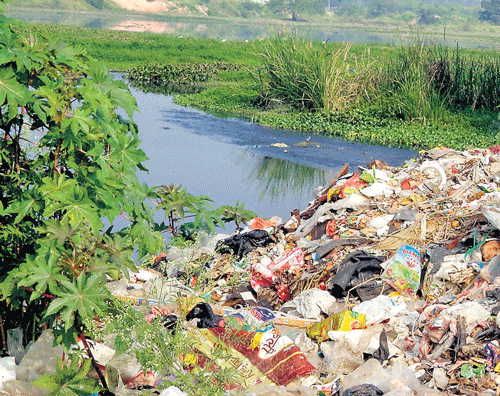Trucks transporting waste to Mandur, choose to dump it  midway, into Rampura lake.