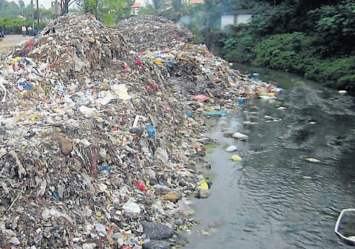 slaughtering a lifeline: Garbage piled on the banks of river Keere in Gonikoppa.