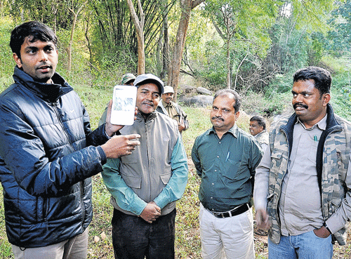 on the trail: A Forest department official with the tablet used for tiger census in BRT Tiger Reserve, Chamarajanagar district. DH photo