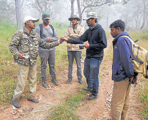 Following the felineS: A group of volunteers plan their route during the course of census work at the Bandipur National Park. dh photo