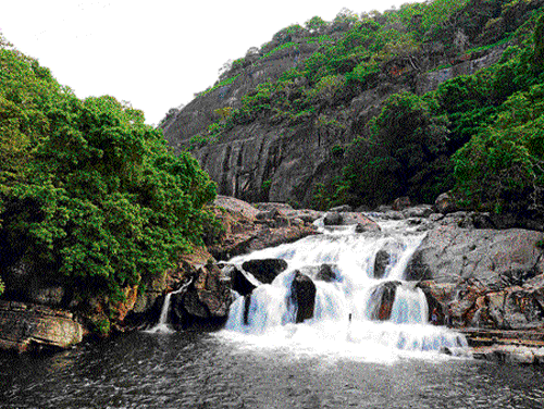 Seeing green: The picturesque Manimuthar Falls tucked away in the forests of Tirunelveli in Tamil Nadu / PHOTO BY AUTHOR
