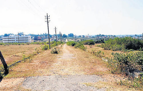 The Satyamangala layout that was developed by the Housing Board around 15 years ago, still lies neglected. DH PHOTO