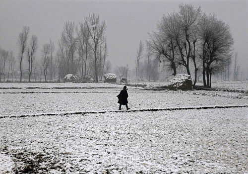 A Kashmiri man walks through a paddy field covered with snow during the season's first snowfall on a cold winter morning in Srinagar Reuters Image