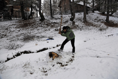 A man cuts a wooden log as he stands on a snow covered field on the outskirts of Srinagar, India, Sunday, Dec. 22, 2013. Several parts of the Kashmir valley received snowfall giving residents respite from intense cold conditions as night temperatures stayed above the freezing point, according to local reports. AP photo