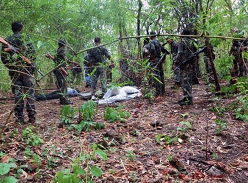 The next year is likely to pose a bigger challenge to the counter-insurgency operation in Chhattisgarh where the CPI(Maoist) is planning to observe its 10th year of foundation and is being feared to unite all Naxal groups in the country to carry out major 'events'. PTI File Photo.