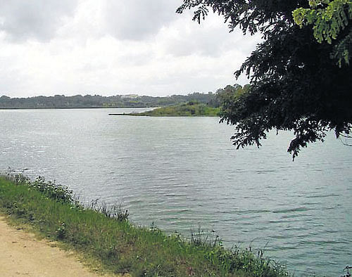 A DH file photo of Kukkarahalli lake.