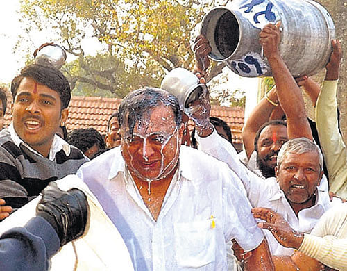 Maharashtra Labour Minister and NCP leader Hasan Mushrif gets a 'milk bath' from supporters, in Kolhapur on Friday. PTI