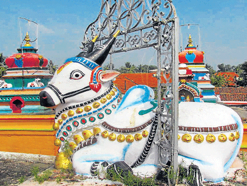 A statue of nandi at the entrance of the temple in Alakere during Shiva Deepotsava. Photo by Author