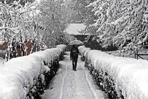 A man walks with umbrella on snow-covered roads during heavy snowfall in Srinagar on Tuesday. Pti