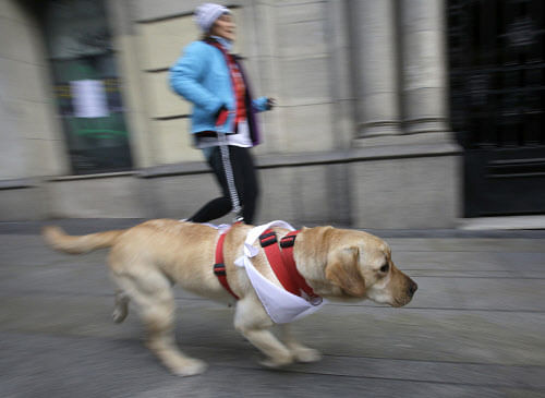 A file photo of a dog getting into the mood. Reuters.