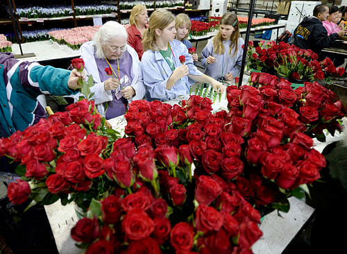 For all those lovebirds out there, the fairytales' blue roses may soon become a reality. Reuters