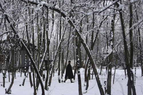 A man walks amidst snow covered landscape after fresh snowfall in the outskirts of Srinagar, Thursday, Jan. 9, 2014. Traffic on the 300 kilometers (186 miles) long Jammu-Srinagar national highway has been suspended due to heavy snowfall, according to news reports. AP photo