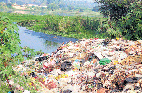 Water bodies in the City are fast vanishing due to rampant encroachment. DH photo