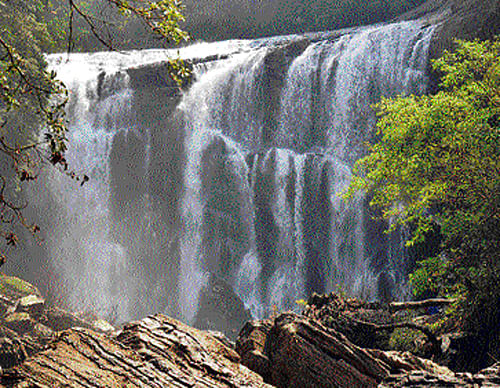 An exquisite view of Sathoddi Falls. Photo by author