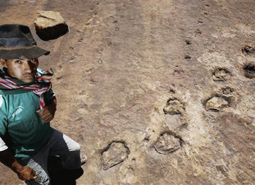 A team of foreign and Indian scientists have spotted the foot-prints of Dinosaurs at Thaiat village in Jaisalmer district, the sources said today . Reuters File Photo. For Representation only.