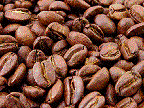 5-day coffee fest for connoisseurs