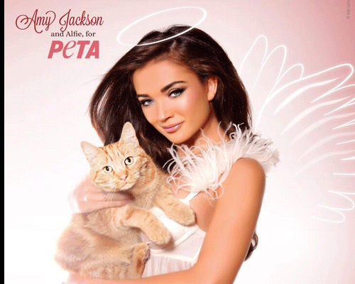 British model Amy Jackson, who made her Bollywood debut with 'Ekk Deewana Tha' opposite Prateik, has teamed up with PETA India for a brand new ad campaign. Photo Courtesy: Amy Jackson Twitter Page