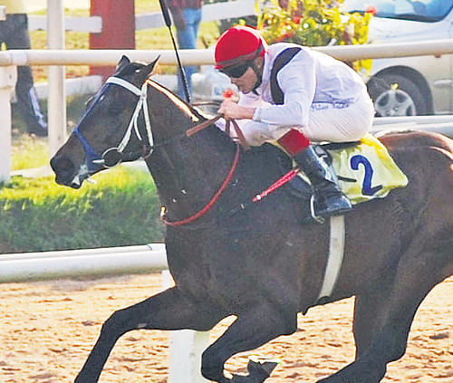 Louis Beuzelin-ridden Agostini is one of the fancied horses to win the Indian Derby. DH&#8200;Photo