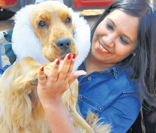 owner's pride: A girl poses with her pet at the All India Championship Dog Show organised on Sunday. dh photo