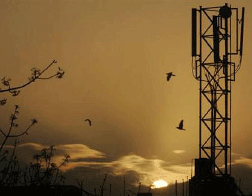 The government on Monday received bids worth Rs 39,300 crore in seven 60-minute rounds of bidding on day one of 2G spectrum auction, with a strong interest for 900 Mhz airwaves, which may help it to curb the fiscal deficit. Reuters File Photo