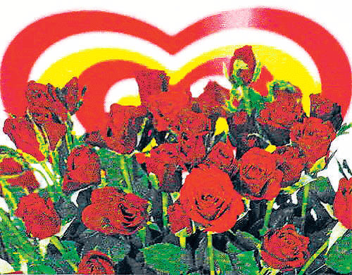 Rose prices to jump by 50 per cent this  Valentine's Day. DH photo