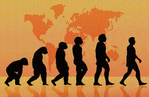sourced out: According to genome studies, our species mated with Neanderthals after leaving Africa.