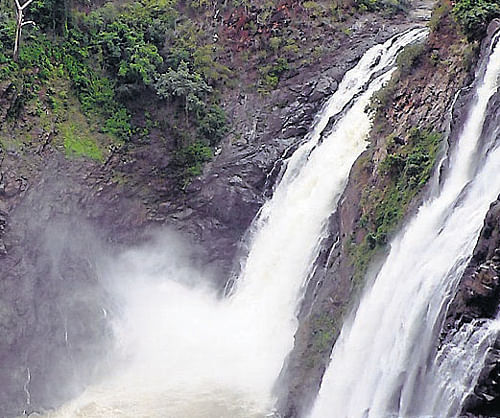 The Gaganachukki falls located at Malavalli taluk in Mandya district. DH File&#8200;Photo