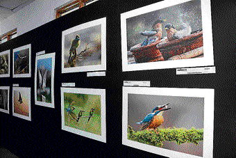 The IndiaKliks photography contest displayed 100 photographs on the theme 'Bliss'.