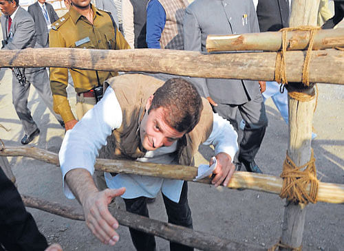 reaching out: Congress vice-president Rahul Gandhi leans through the barricading to greet supporters at a rally in Dehradun on Sunday. pti