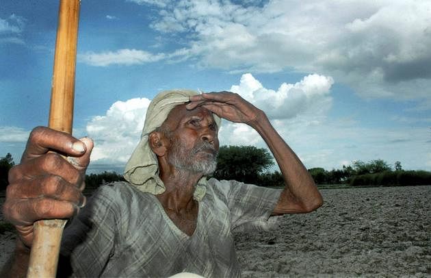 A farmer looks up the sky at drought hit Morahu Village near Allahabad. File photo: PTI