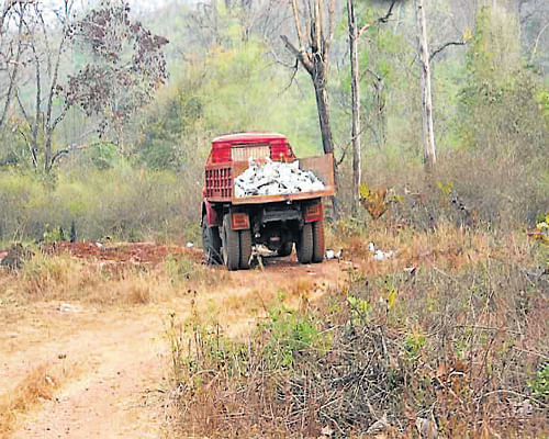 Non-forest activities being carried out inside Bhadra reserve forest in Chikmagalur. DH Photo