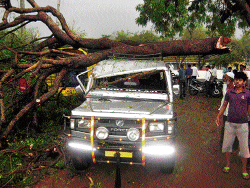 mighty fall: Three vehicles were damaged when a tree fell on them near Gaddinakeri Cross in Bagalkot on Saturday, following heavy rainfall, accompanied by hailstorm. DH&#8200;Photo