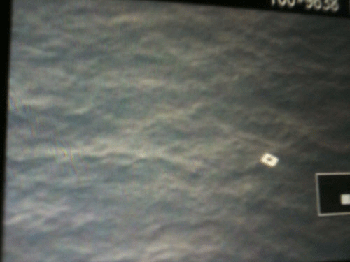 An object is seen floating in the sea on the display of a Vietnamese search airplane's camera in this March 9, 2014 handout photograph provided by the Civil Aviation Authority of Vietnam (CAAV) on March 10, 2014. A Vietnamese navy plane has spotted an object suspected of belonging to the Malaysian Airlines flight MH370 that went missing early on Saturday with 239 people on board, the Civil Aviation Authority of Vietnam said on its website on Sunday. The authority said it was too dark to be certain the object was part of the missing plane, and that more aircraft would be dispatched to investigate the site, in waters off southern Vietnam, in the morning. REUTERS
