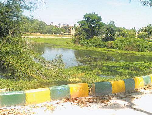 Attempts are on to encroach upon the lake, which the BBMP revived at a cost of Rs 1.68 crore. DH photo