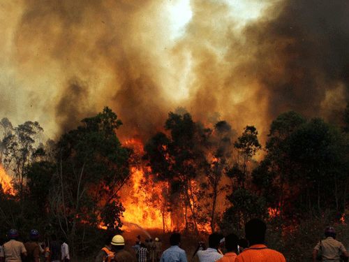 Four helicopters of the Indian Air Force (IAF) and 100 army personnel will swing into action Thursday to douse the fire raging in Seshachalam forests for three days, officials said. PTI photo