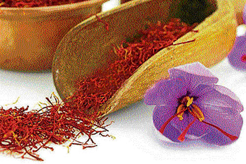 Known as one of the most expensive element in the spice family, saffron is surely for the rich. Its flavour often graces the menus of exquisite restaurants too, DH photo