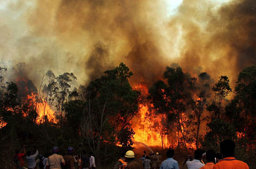 Fire personnel dousing the blazing fire at Tirumala forest in Tirupati on the second day on Wednesday. PTI Photo