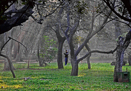 A plan is in the offing to set up a gym near the State Central  Library in the Cubbon Park.