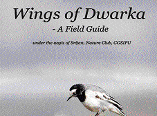 Cover page of Wings of Dwarka, DH photo