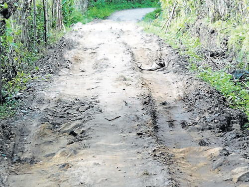 The incomplete road work at Morikallu village near Somwarpet. DHNS