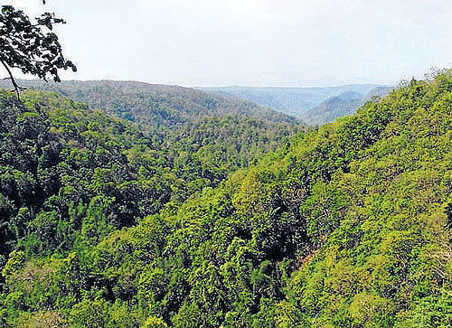 The Kodagu district BJP unit will use Kasturirangan report on recommendations on conservation of Western Ghats as an election issue in the coming Lok Sabha polls. DH File Photo