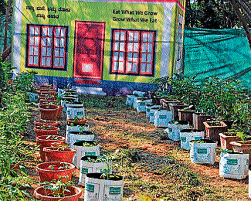 A model demonstration of terrace gardening displayed at Kadri Park during the recently held horticulture exhibition. dh photo