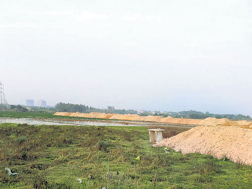 The Srirampura lake on the verge of being closed with sand. According to experts 30-40 percent of Bangalore's drinking water requirement is met by borewells, which are being recharged only through wetlands. DH Photo