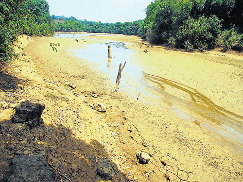 The Kootuhole, source of drinking water Madikeri has gone dry. DH Photo
